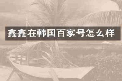 鑫鑫在韩国百家号怎么样