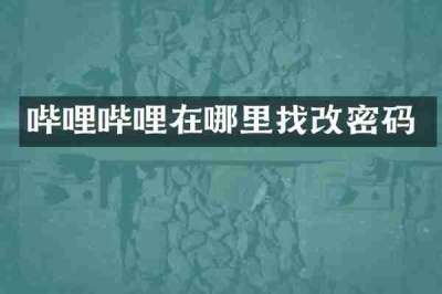 哔哩哔哩在哪里找改密码
