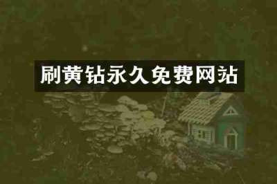 刷黄钻永久免费网站