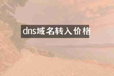 dns域名转入价格