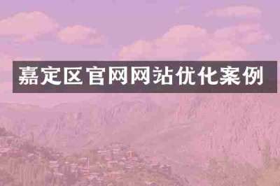 嘉定区官网网站优化案例