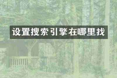 设置搜索引擎在哪里找