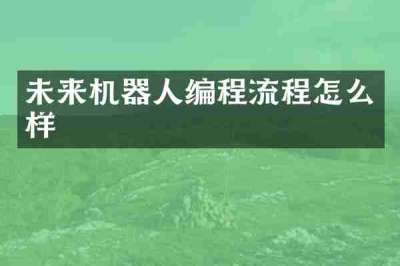 未来机器人编程流程怎么样