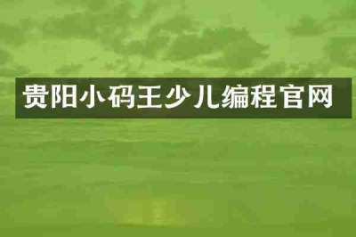 贵阳小码王少儿编程官网