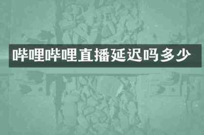 哔哩哔哩直播延迟吗多少