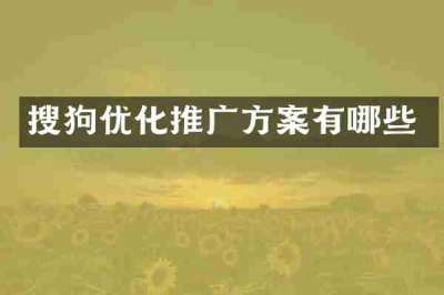 搜狗优化推广方案有哪些
