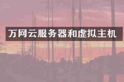 万网云服务器和虚拟主机