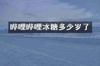 哔哩哔哩冰糖多少岁了