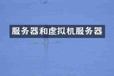 服务器和虚拟机服务器