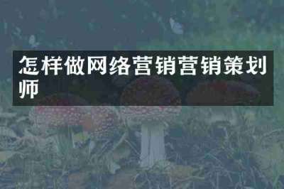 怎样做网络营销营销策划师