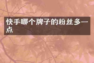 快手哪个牌子的粉丝多一点