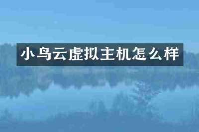 小鸟云虚拟主机怎么样