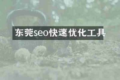 东莞seo快速优化工具