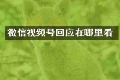 微信视频号回应在哪里看