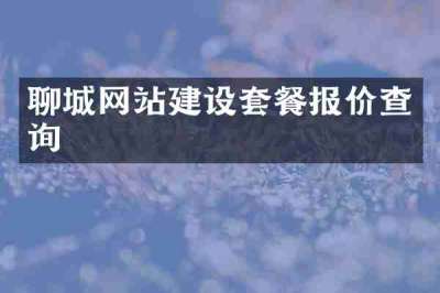 聊城网站建设套餐报价查询