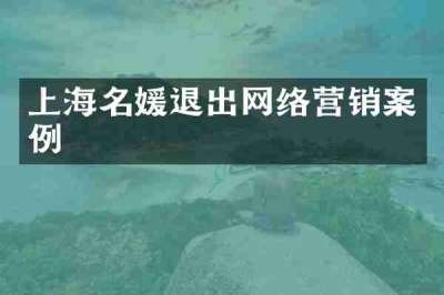 上海名媛退出网络营销案例