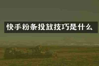 快手粉条投放技巧是什么