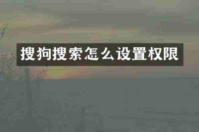 搜狗搜索怎么设置权限