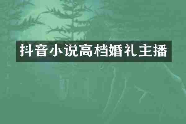 抖音小说高档婚礼主播