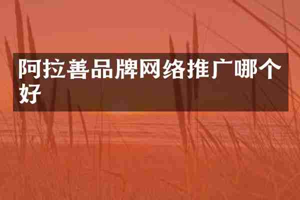 阿拉善品牌网络推广哪个好