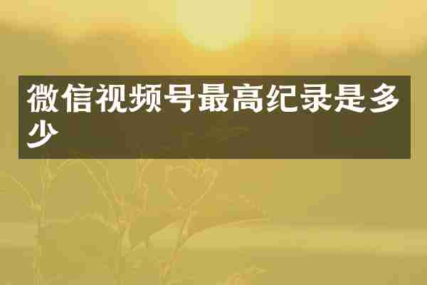 微信视频号最高纪录是多少
