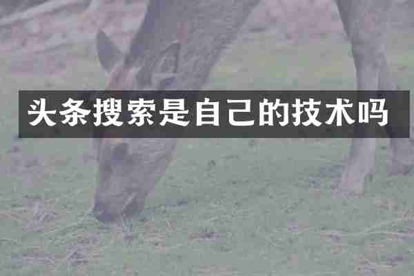 头条搜索是自己的技术吗