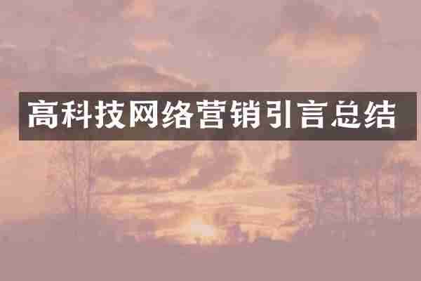 高科技网络营销引言总结