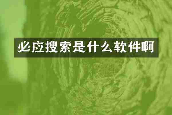 必应搜索是什么软件啊