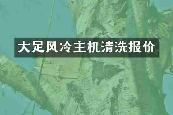 大足风冷主机清洗报价