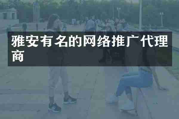 雅安有名的网络推广代理商