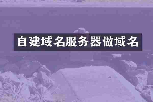 自建域名服务器做域名