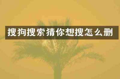 搜狗搜索猜你想搜怎么删