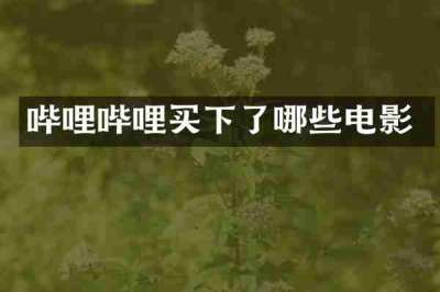 哔哩哔哩买下了哪些电影