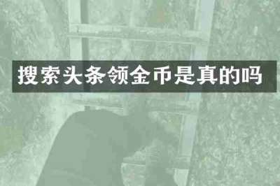 搜索头条领金币是真的吗