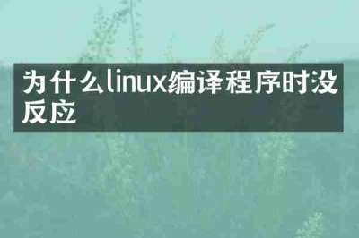 为什么linux编译程序时没有反应