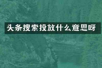 头条搜索投放什么意思呀