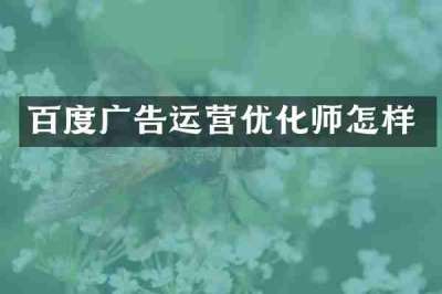 百度广告运营优化师怎样