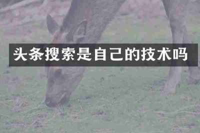 头条搜索是自己的技术吗