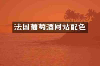 法国葡萄酒网站配色