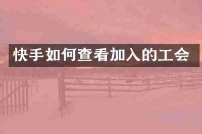 快手如何查看加入的工会
