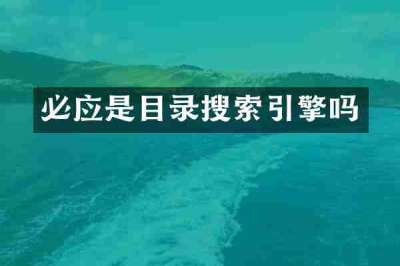 必应是目录搜索引擎吗