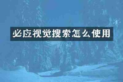 必应视觉搜索怎么使用