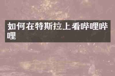 如何在特斯拉上看哔哩哔哩