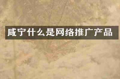 咸宁什么是网络推广产品