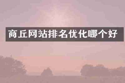 商丘网站排名优化哪个好
