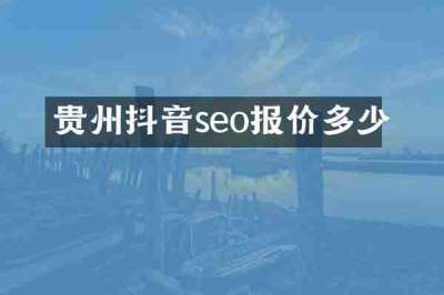 贵州抖音seo报价多少