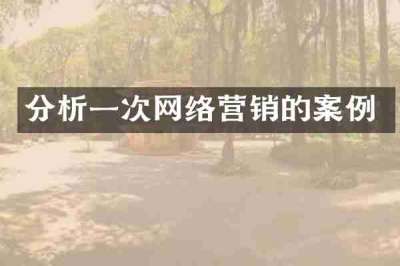 分析一次网络营销的案例