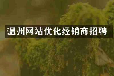 温州网站优化经销商招聘