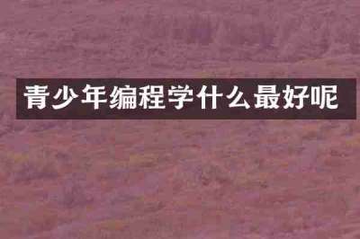 青少年编程学什么最好呢
