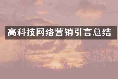 高科技网络营销引言总结